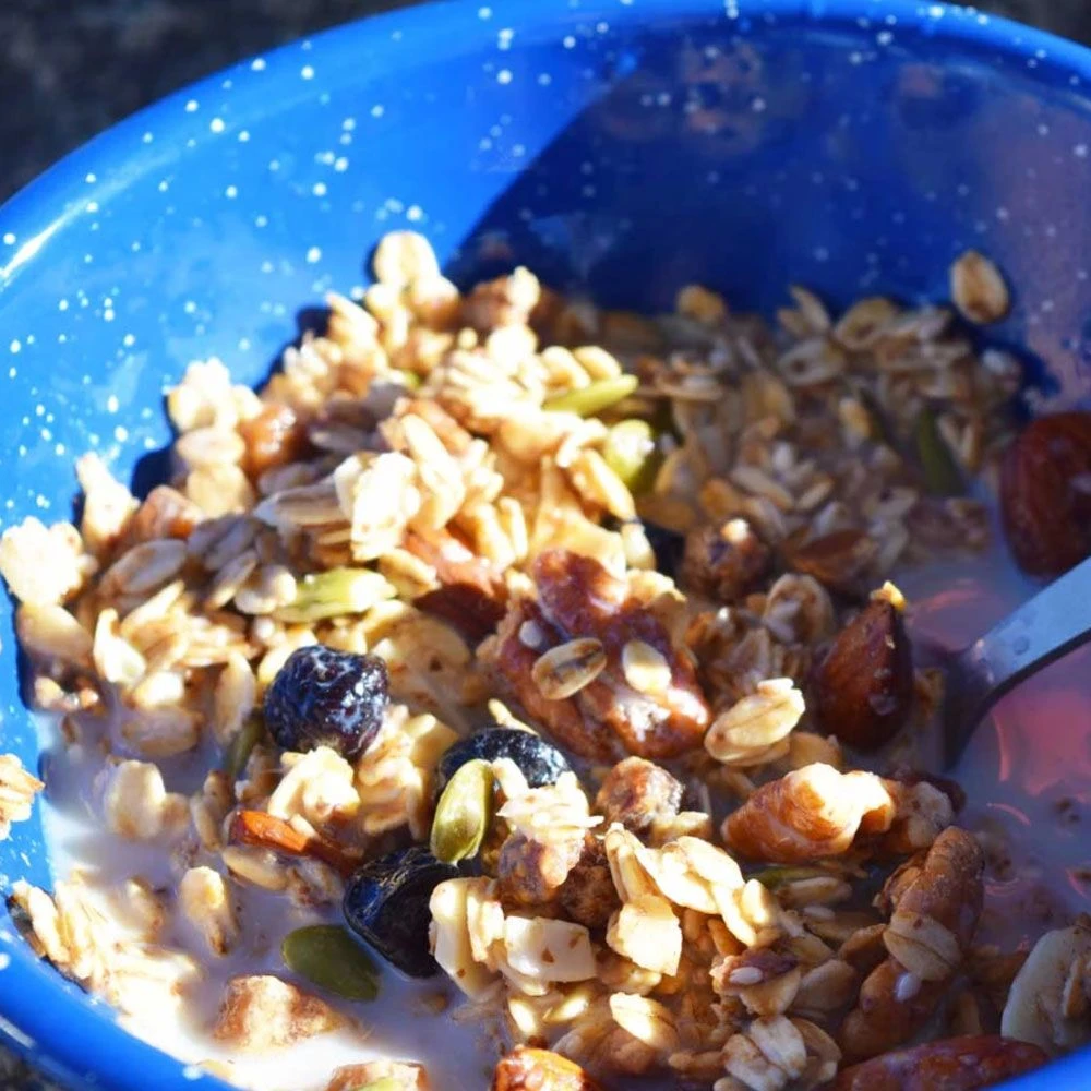 Good To-Go Ganola Dehydrated Meal 3 Good To-Go Ganola Dehydrated Meal - Image 3